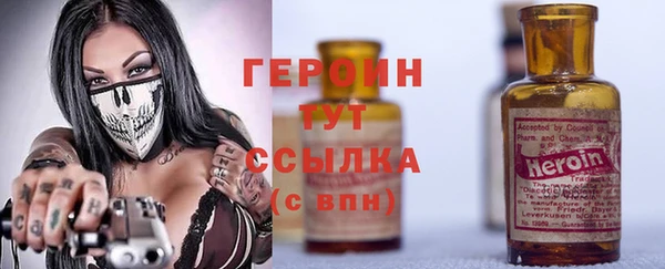 прущие грибы Алзамай