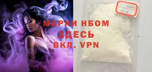 прущие грибы Алзамай