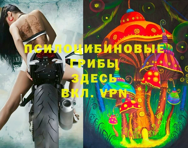 ешки Новозыбков