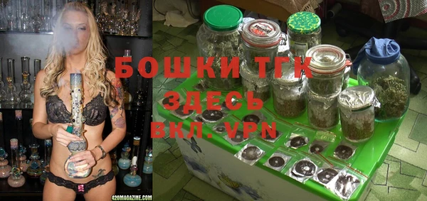 ПСИЛОЦИБИНОВЫЕ ГРИБЫ Новокубанск