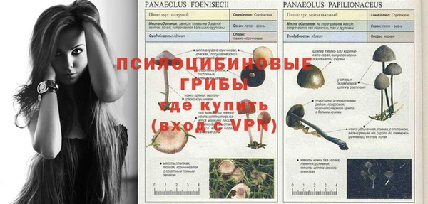 гашиш Новодвинск