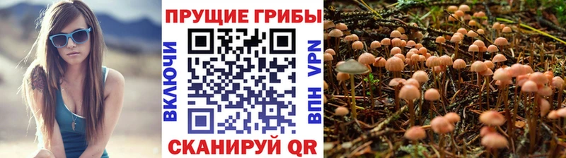 Галлюциногенные грибы MAGIC MUSHROOMS  даркнет состав  Шелехов 